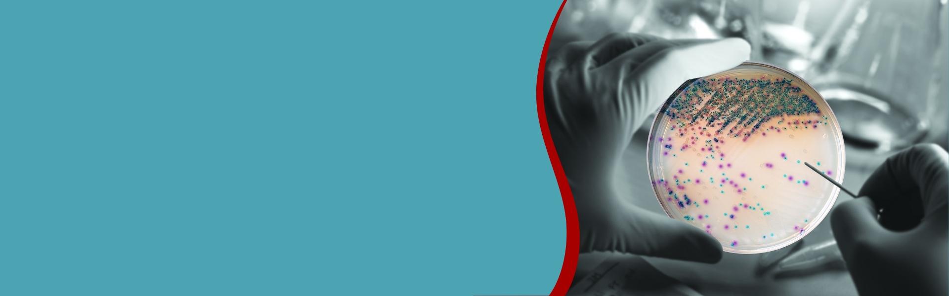 bigBanner